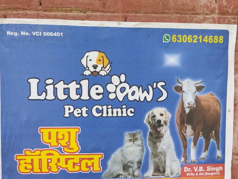 Little Paws pet clinic